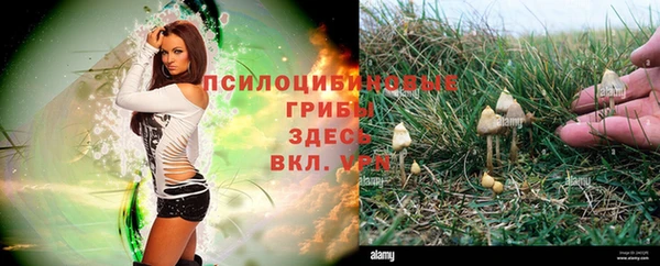 гашиш Балахна