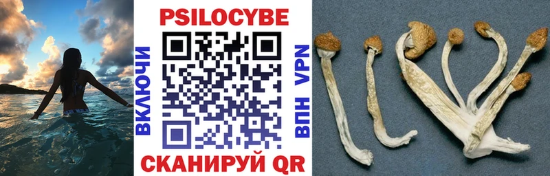 Галлюциногенные грибы мицелий  где купить наркоту  Омутнинск 